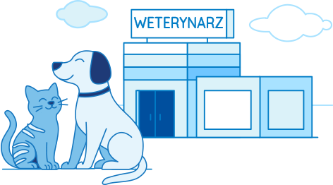 Ilustracja psa i kota przed gabinetem weterynarza